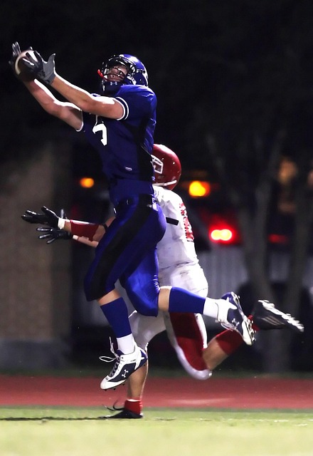 证明加内特 证明加内特